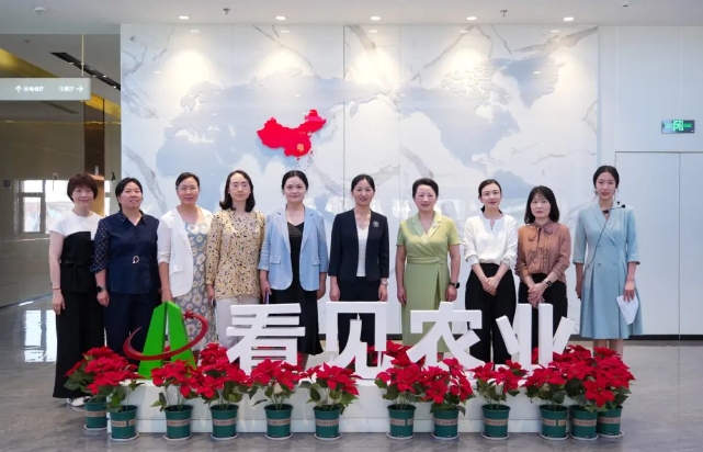 省妇联党组成员、副主席陈艳英一行调研雨花区“三新”妇联组织建设工作